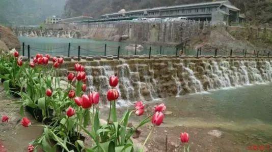 邵东市公安局抓获两名盗窃犯罪嫌疑人