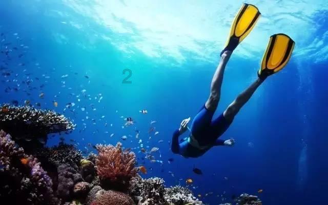 流放骑士